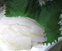 キス料理 の記事一覧 Crazy Fishing