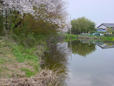 釣り場例