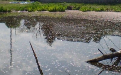 釣り場（例）写真