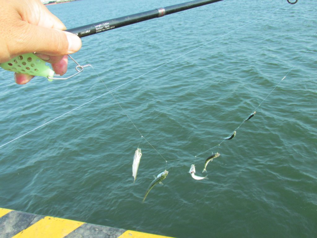 家族で楽しむサビキ釣り