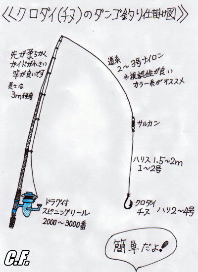 黒鯛 チヌ の紀州釣り ウキなし編 Crazy Fishing