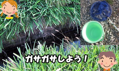 ガサガサTOP写真