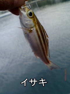 愛すべき外道達 ポピュラー編 Crazy Fishing