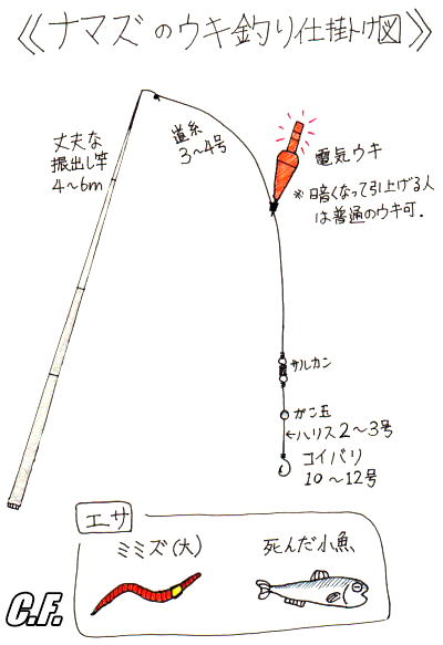 ナマズ釣り仕掛図