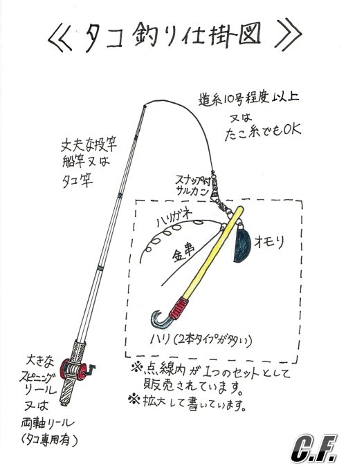 タコ釣り仕掛図