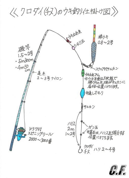 黒鯛 チヌ のウキフカセ釣り Crazy Fishing