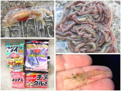 海釣りのエサ～生きエサから粉エサまでの対象魚種、価格相場、販売単位など