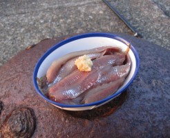 イワシの刺身TOP写真