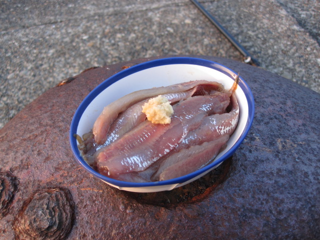 手開きで作るイワシ（鰯）の刺身