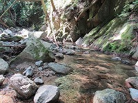 水棲昆虫採集場所