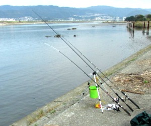 釣りの様子