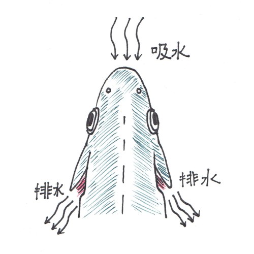 6_魚の吸排水_500x500