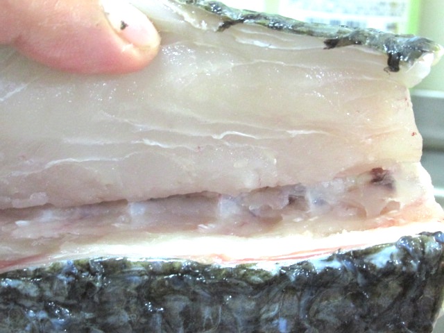 ボラの洗い Crazy Fishing