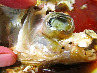 ボラのアラ煮 Crazy Fishing ボラのアラ煮 Crazy Fishing