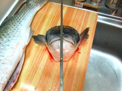 ボラのアラ煮 Crazy Fishing ボラのアラ煮 Crazy Fishing