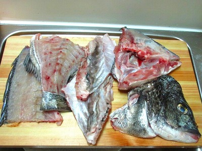 黒鯛 チヌ のアラ煮 Crazy Fishing 黒鯛 チヌ のアラ煮 Crazy Fishing