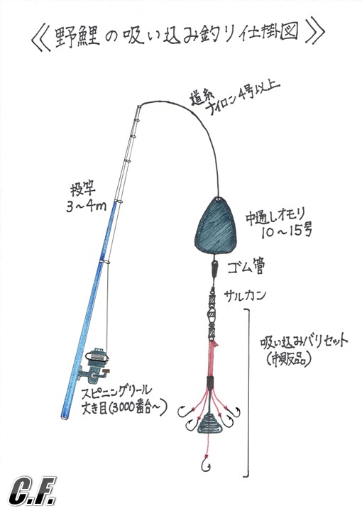 野鯉の吸い込み釣り Crazy Fishing