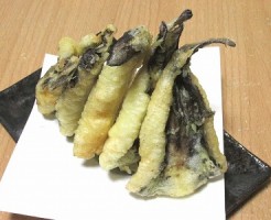 ゴンズイ料理 の記事一覧 Crazy Fishing