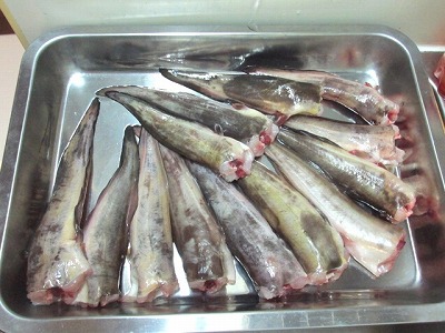 ゴンズイの天ぷら Crazy Fishing ゴンズイの天ぷら Crazy Fishing