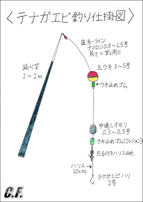 時期 テナガエビ テナガエビ釣りの時期（シーズン）と時間帯