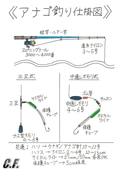 夜にのんびり防波堤でのアナゴ釣り 釣れる時期 場所 仕掛け エサ 釣りのポイントなどを紹介 Crazy Fishing