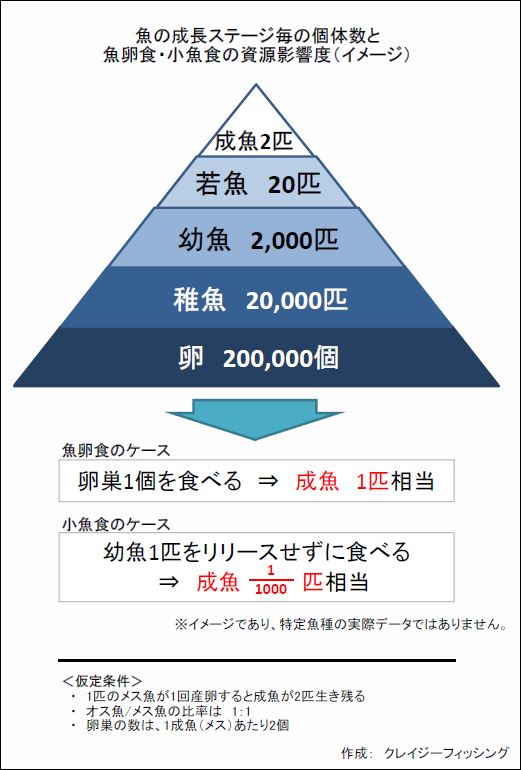 図_魚の成長ステージ毎の個体数と魚卵食小魚食の資源影響度（イメージ）